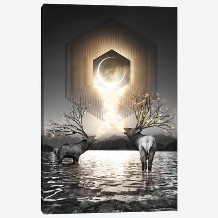 Made Of Star Stuff - Elk Galaxy In Black & White Canvas Print #SOA48} by Soaring Anchor Designs Canvas Wall Art