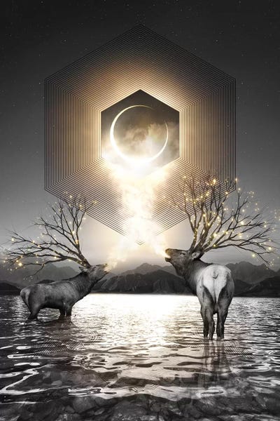 Elk: Made Of Star Stuff - Elk Galaxy In Black & White by Soaring Anchor Designs