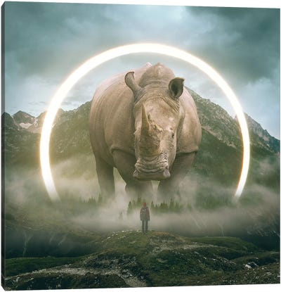 Aegis Rhino I Canvas Art Print - Rhinoceros Art