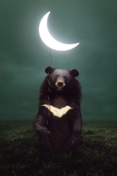 My Light - Moon Bear by Soaring Anchor Designs canvas print