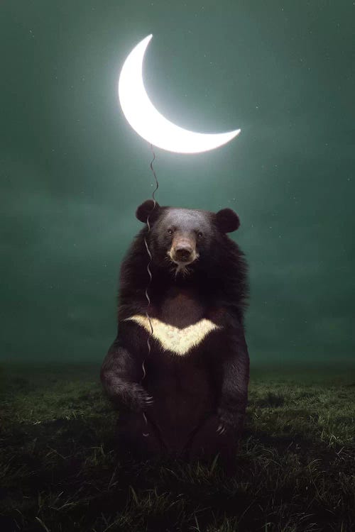 My Light - Moon Bear