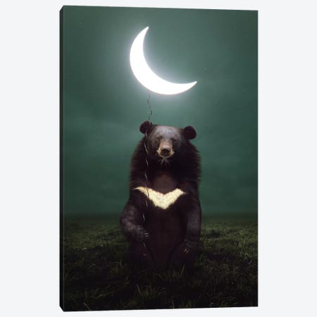 My Light - Moon Bear Canvas Print #SOA52} by Soaring Anchor Designs Canvas Print