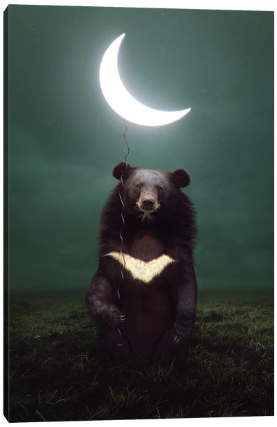 My Light - Moon Bear Canvas Art Print - Soaring Anchor Designs