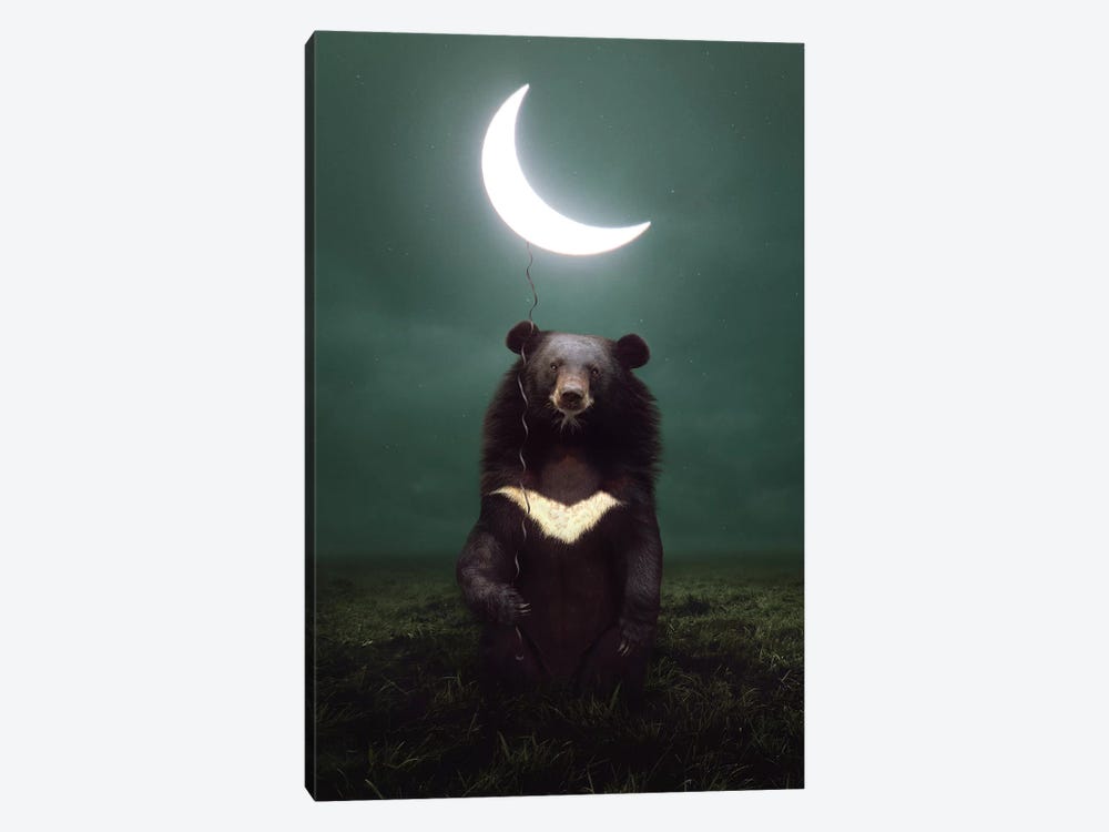 My Light - Moon Bear by Soaring Anchor Designs 1-piece Canvas Print
