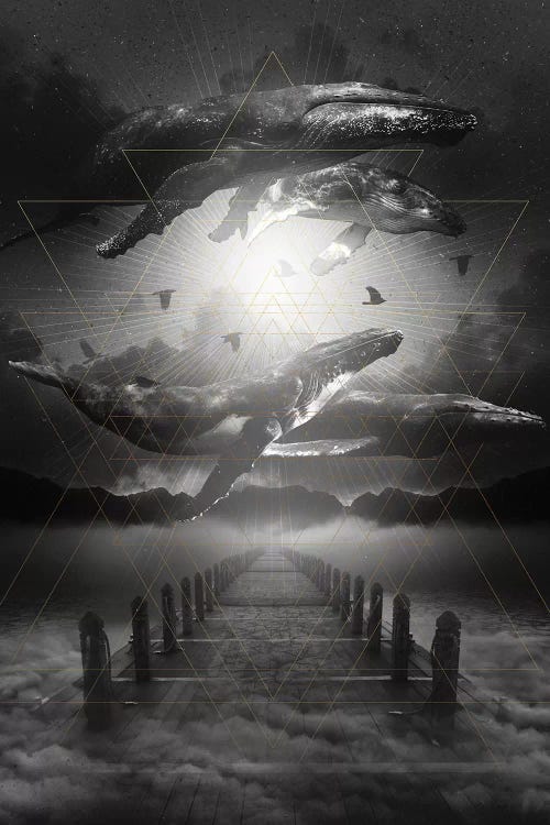 Out Of The Depths - Whale by Soaring Anchor Designs wall art