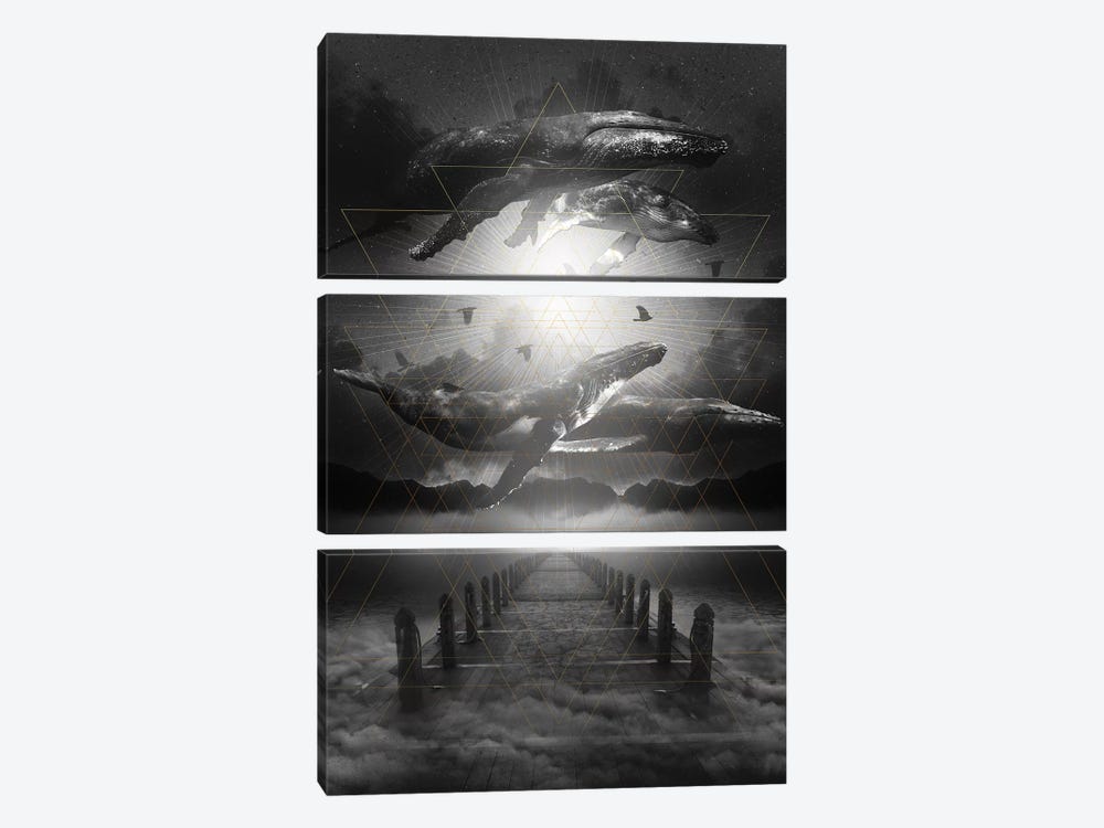 Out Of The Depths - Whale by Soaring Anchor Designs 3-piece Canvas Artwork