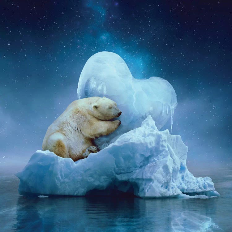 Polar Bear - Ice Heart