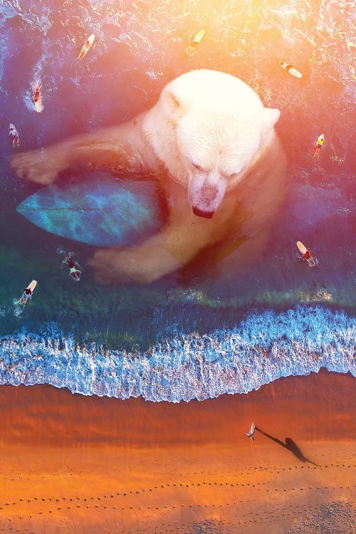 Polar Bear - Surfing