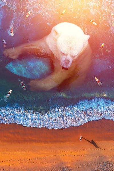 Kids Sports Art: Polar Bear - Surfing by Soaring Anchor Designs