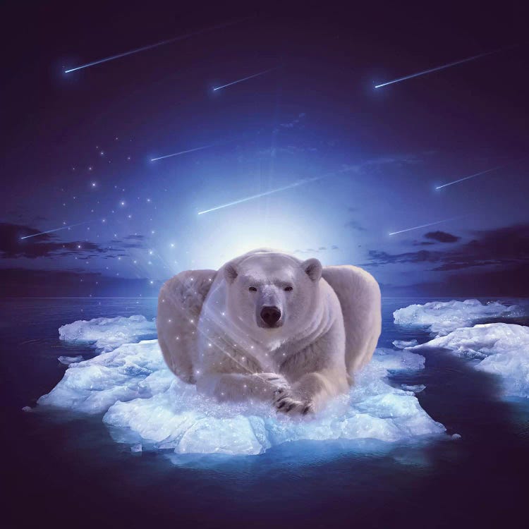 Polar Blessing by Soaring Anchor Designs wall art