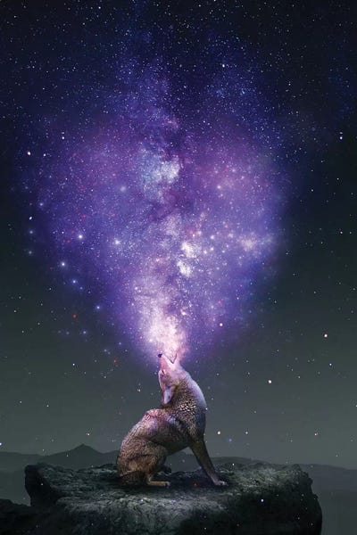 Imagination: Same Breath - Coyote by Soaring Anchor Designs