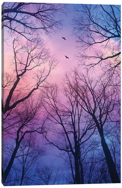 Sherbert Cloud Tree Silhouettes Canvas Art Print - Imagination Art