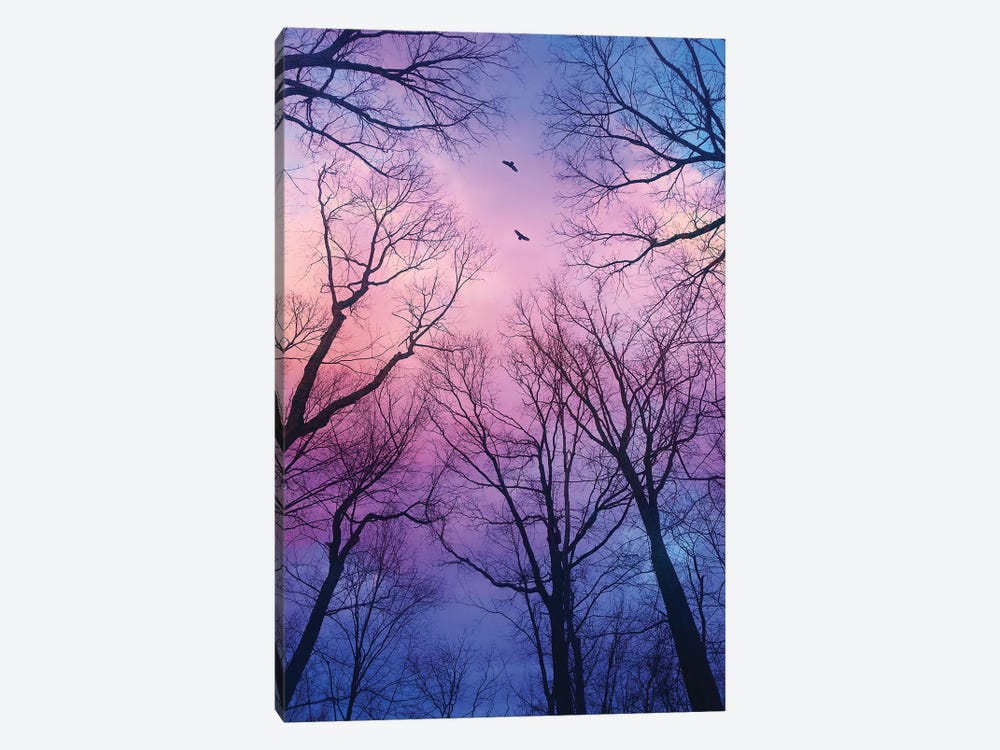 Sherbert Cloud Tree Silhouettes by Soaring Anchor Designs 1-piece Canvas Print
