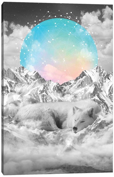 Sleeping Wolf - Guardian Moon Canvas Art Print - Soaring Anchor Designs