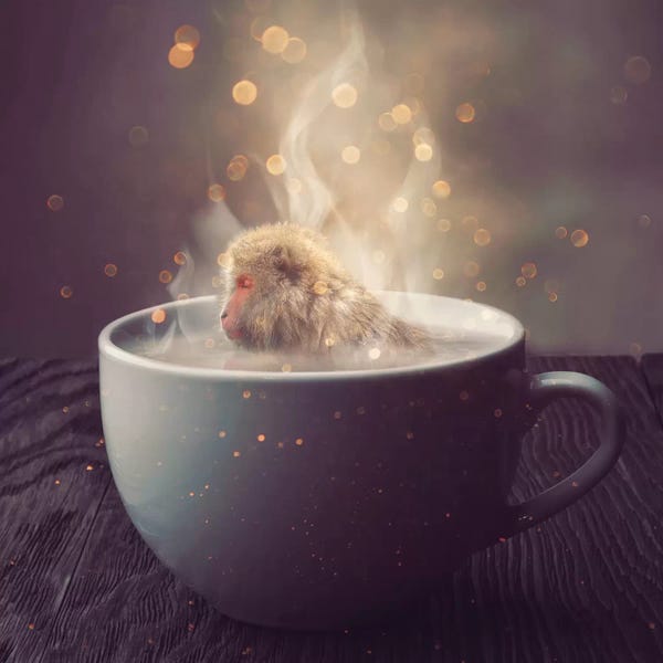 Primates: Snuggery - Macaque by Soaring Anchor Designs