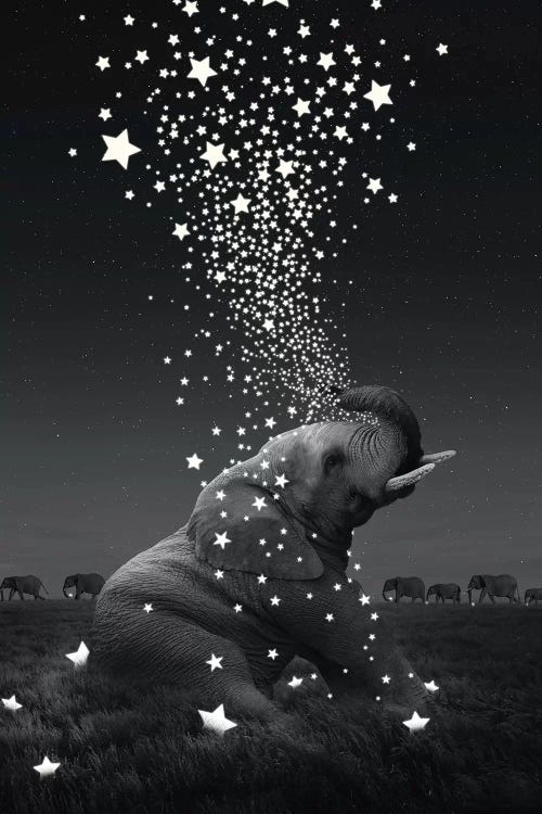 Star Light - Elephants