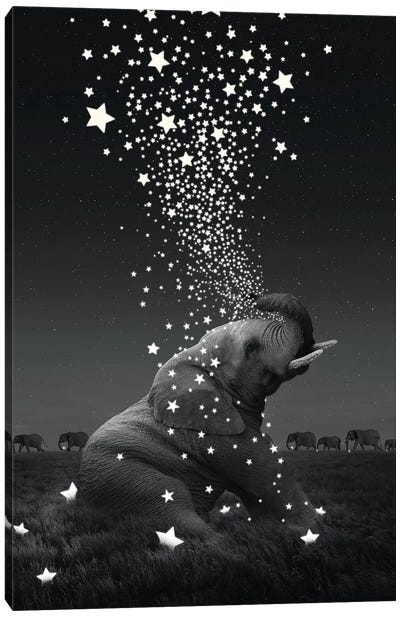 Star Light - Elephants Canvas Art Print - Imagination Art
