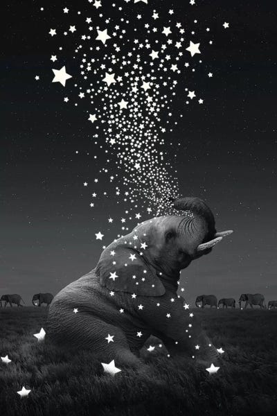 Imagination: Star Light - Elephants by Soaring Anchor Designs