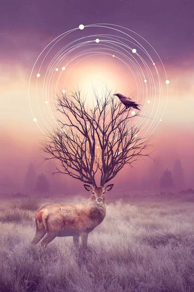 Stillness - Elk by Soaring Anchor Designs framed canvas print