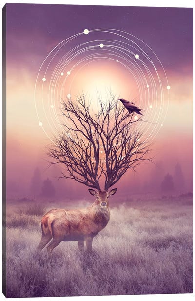 Stillness - Elk Canvas Art Print - Elk Art