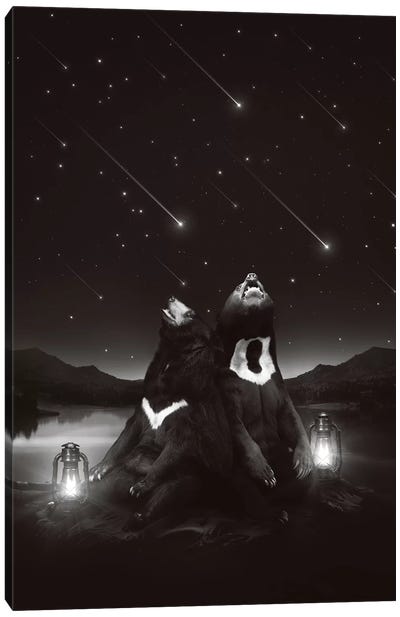 Sun Moon Stars - Bears Canvas Art Print - Imagination Art