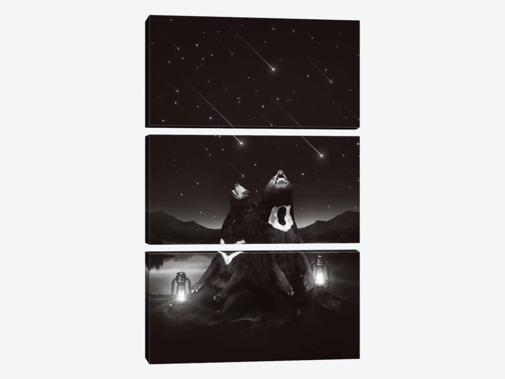 Sun Moon Stars - Bears by Soaring Anchor Designs 3-piece Art Print
