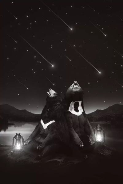 Imagination: Sun Moon Stars - Bears by Soaring Anchor Designs