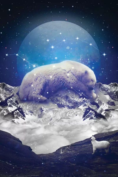 Ursa Major Minor II by Soaring Anchor Designs framed canvas print