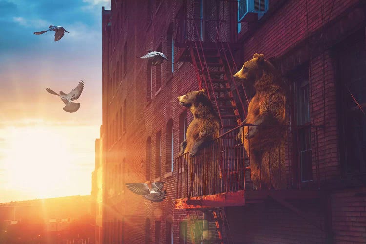 Bears Balcony NYC