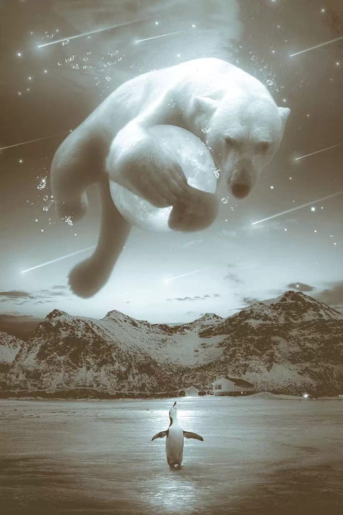 Cobalt Polar Bear Noctuary In Black & White