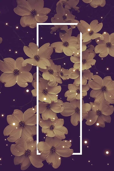 Dogwood Blossoms Purple