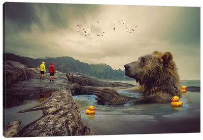 Foggy Bear Bath Canvas Art Print - Animal Humor Art