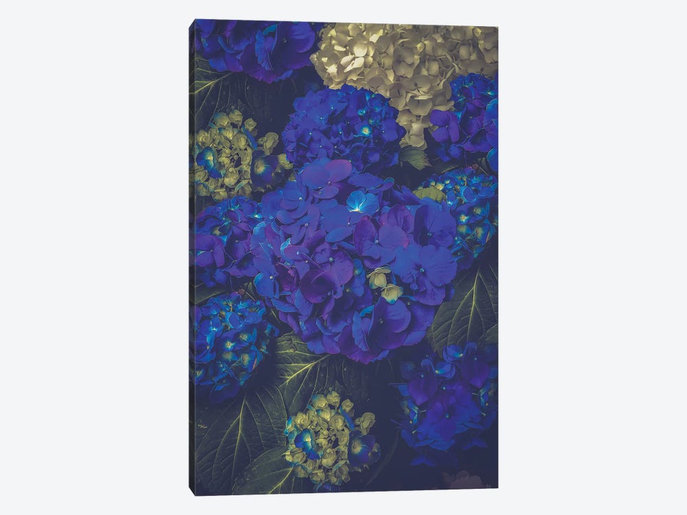 Hydrangea Bloom Blue by Soaring Anchor Designs 1-piece Canvas Wall Art