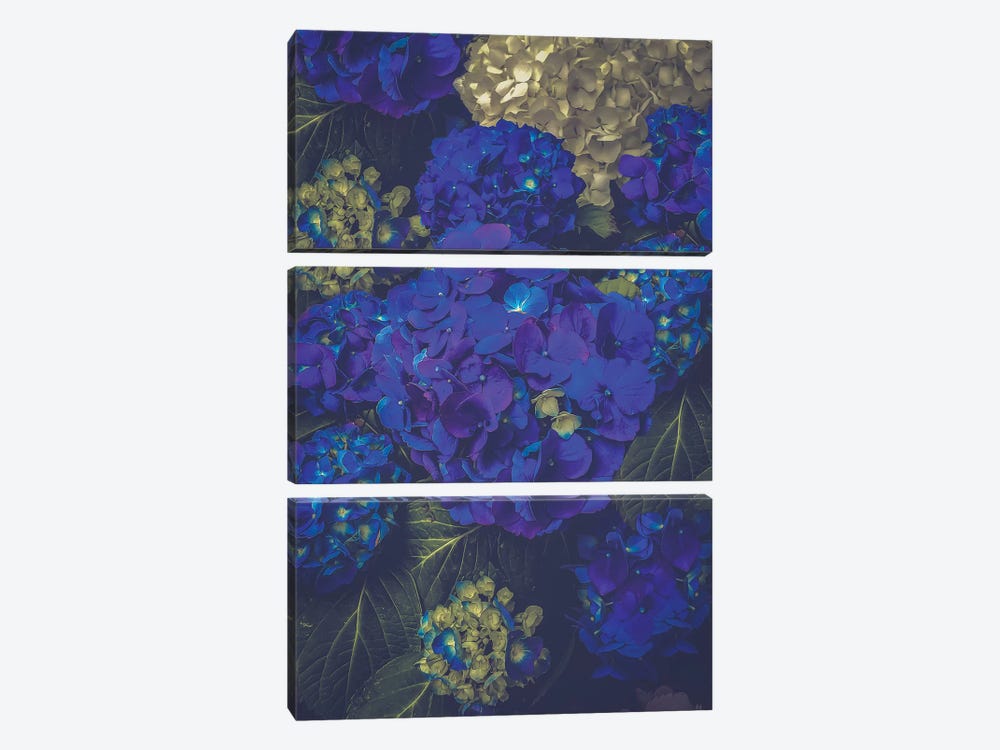 Hydrangea Bloom Blue 3-piece Canvas Artwork