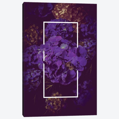 Hydrangea Bloom Dark Purple Canvas Print #SOA89} by Soaring Anchor Designs Canvas Art