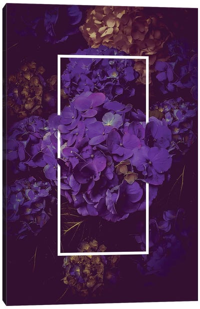 Hydrangea Bloom Dark Purple Canvas Art Print - Soaring Anchor Designs