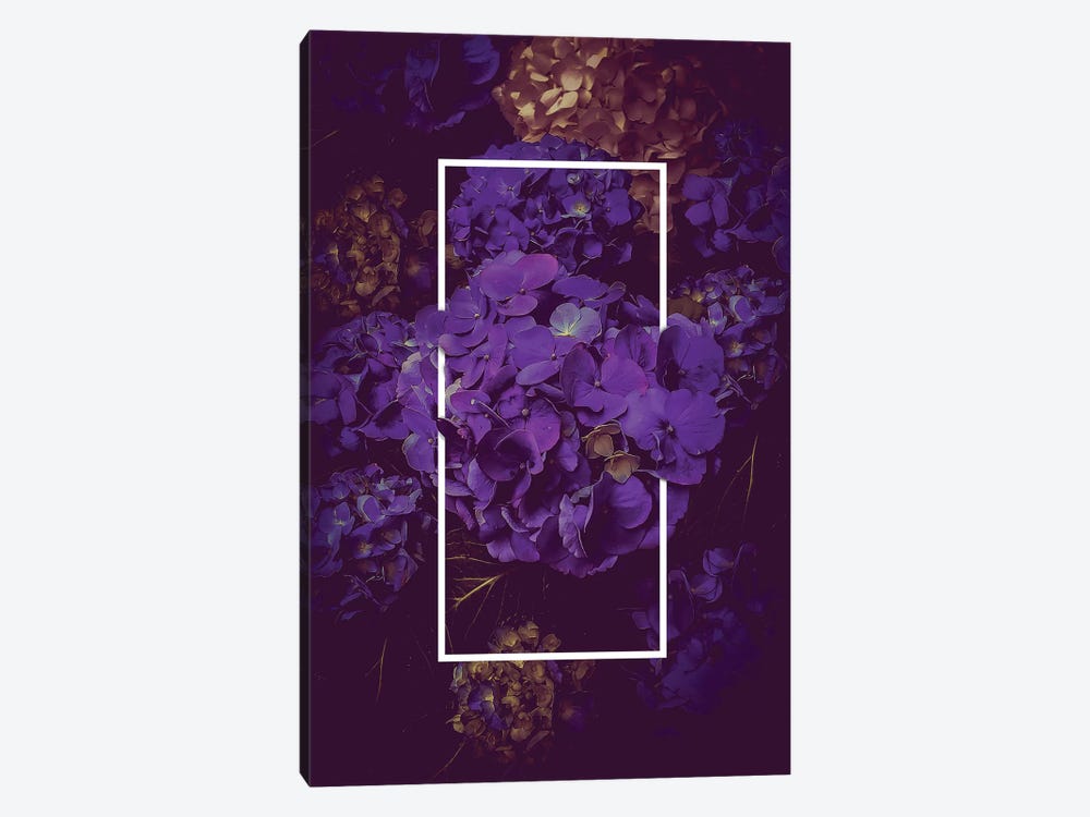 Hydrangea Bloom Dark Purple by Soaring Anchor Designs 1-piece Canvas Print