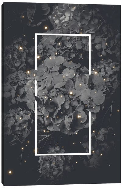 Hydrangea Bloom Mono Sparkle Canvas Art Print - Hydrangea Art