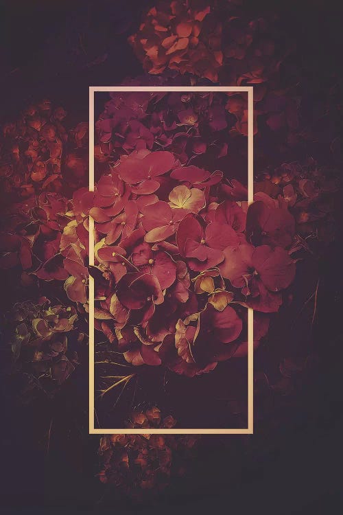 Hydrangea Bloom Vintage Rose by Soaring Anchor Designs wall art