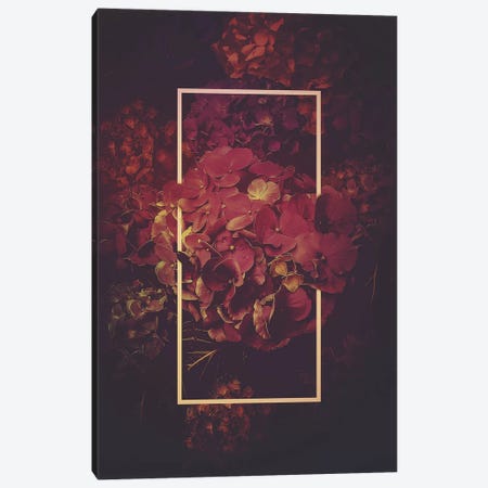 Hydrangea Bloom Vintage Rose Canvas Print #SOA91} by Soaring Anchor Designs Canvas Art Print