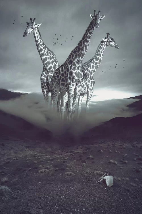 Mystery Mountains Giraffes
