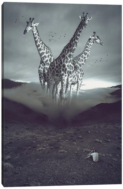 Mystery Mountains Giraffes Canvas Art Print - Soaring Anchor Designs