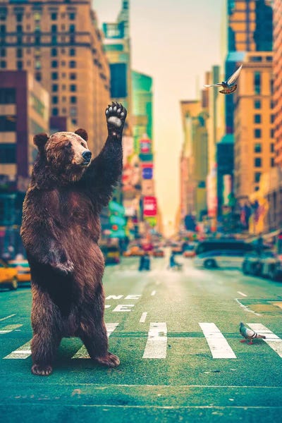 Brown Bears: Neck Of Woods Bear NYC Color by Soaring Anchor Designs