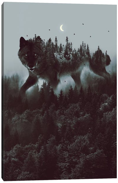 Noctivagant Black Wolf Canvas Art Print - Wolf Art