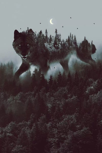 Wolves: Noctivagant Black Wolf by Soaring Anchor Designs