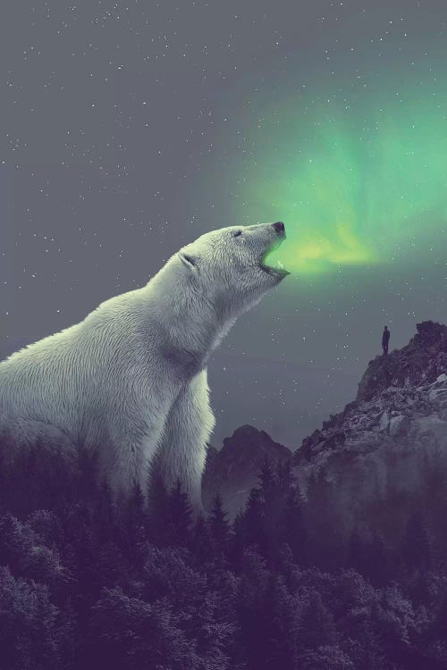 Polar Bear Forest Dipper by Soaring Anchor Designs wall art