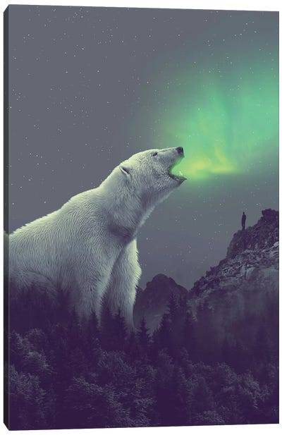 Polar Bear Forest Dipper Canvas Art Print - Polar Bear Art