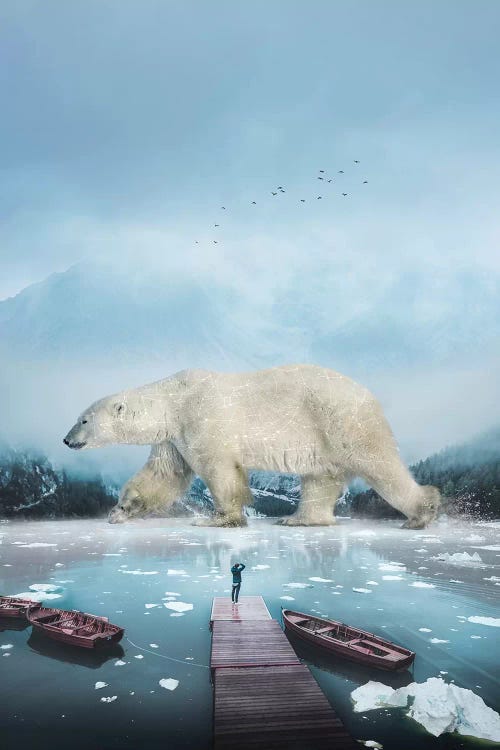 Polar Bear Navigator