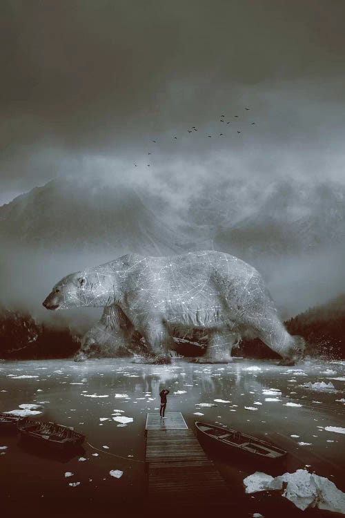 Polar Bear Navigator In Black & White