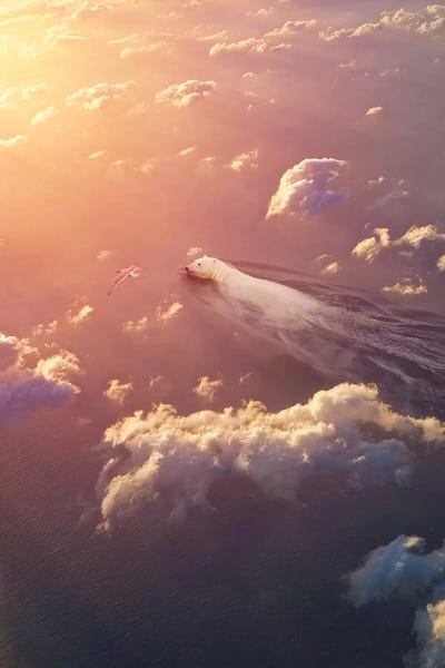 Polar Bear Sky Reverie by Soaring Anchor Designs multi panel art